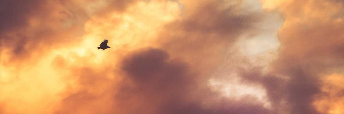 TechZone Electronics