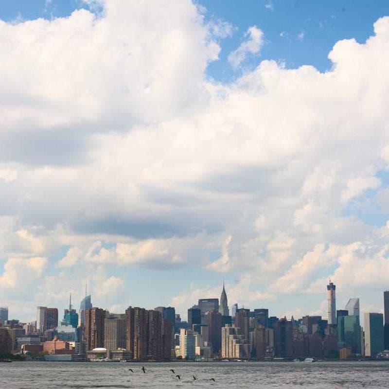 Premium Cotton T-Shirt